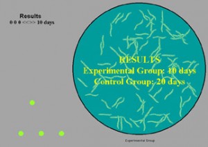 Worm Gene Simulation